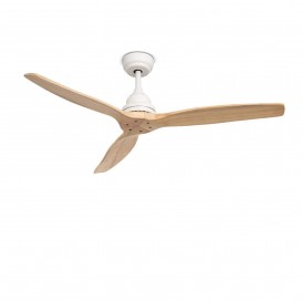 Ventilatori a soffitto