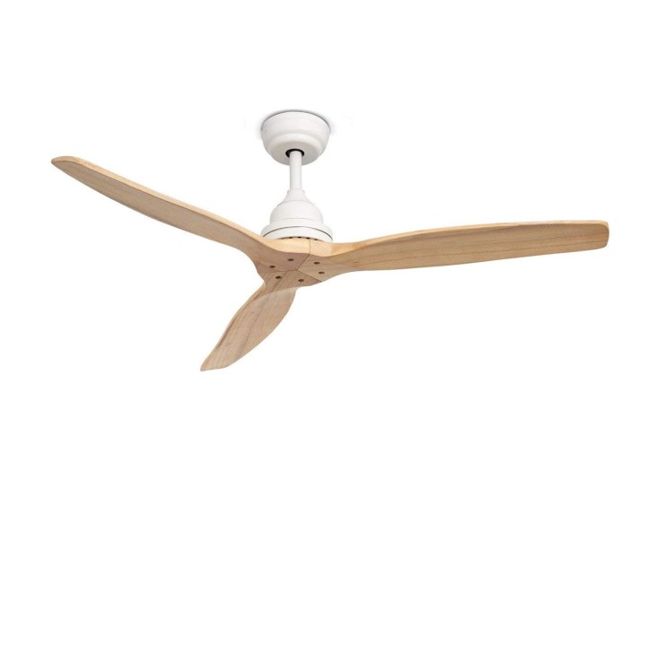 Ventilatori a soffitto